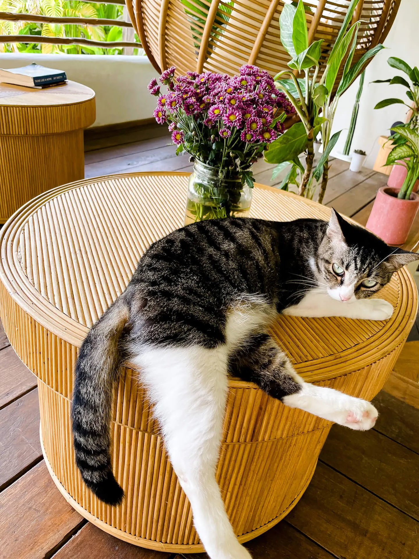 RACO TEGAL STOLIK S Rattanowy - MMRTN001S