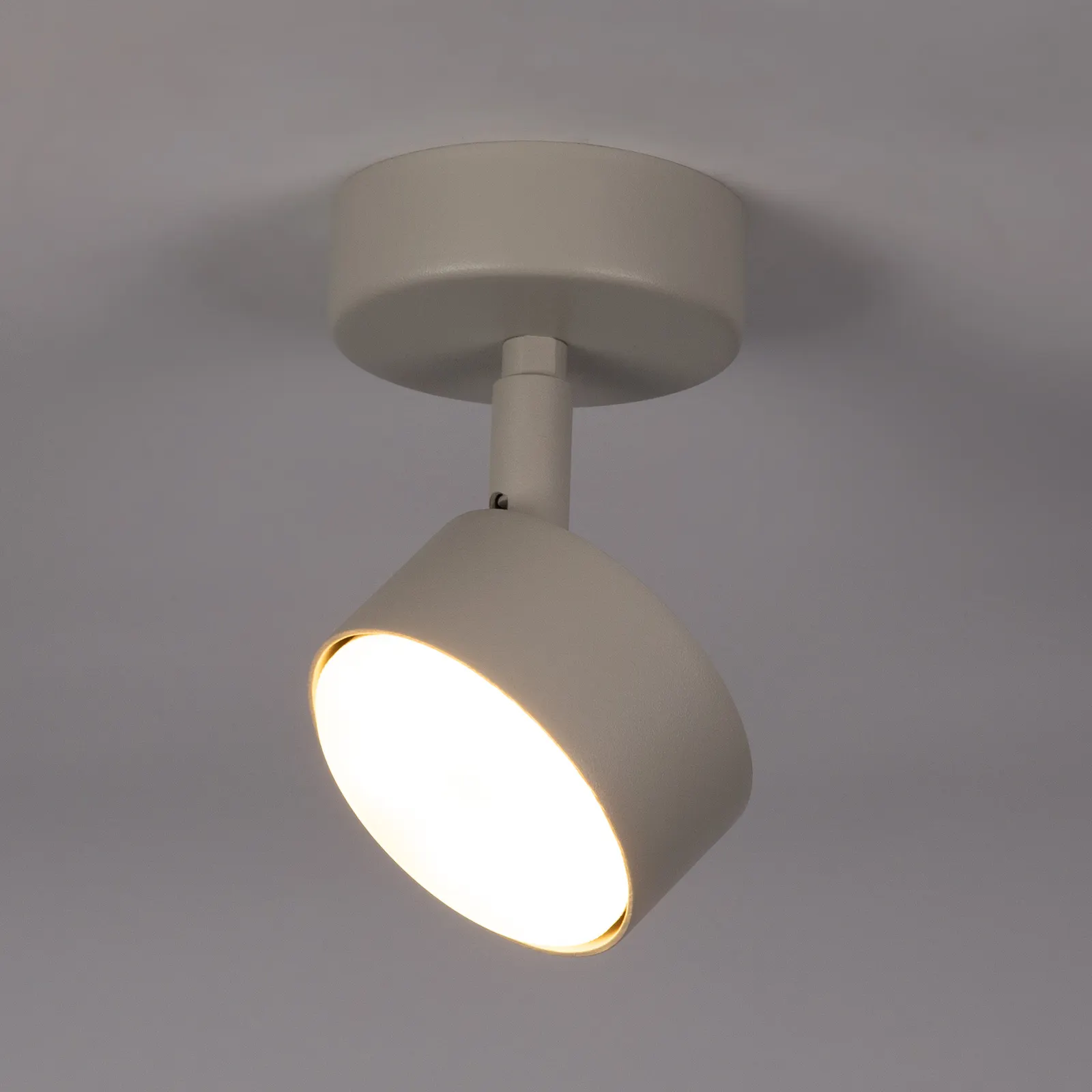 Lampa sufitowa/plafon NEMO 1 S szaro-beżowy - SI_40886