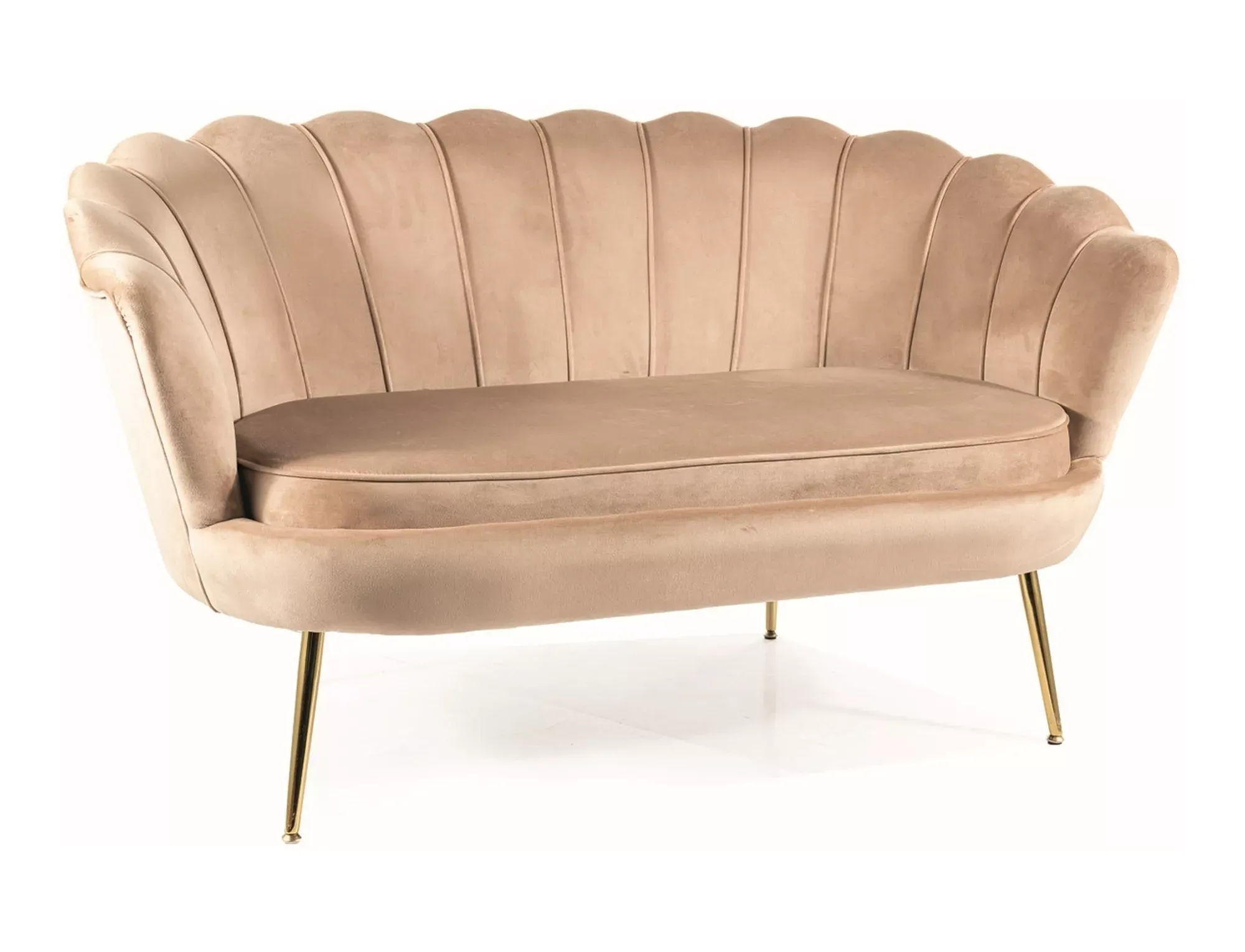 Sofa 2-osobowa CAMELLIA 2 VELVET Bluvel 28 beżowy złoty Signal Sofa 2-osobowa CAMELLIA 2 VELVET Bluvel 28 beżowy złoty Signal