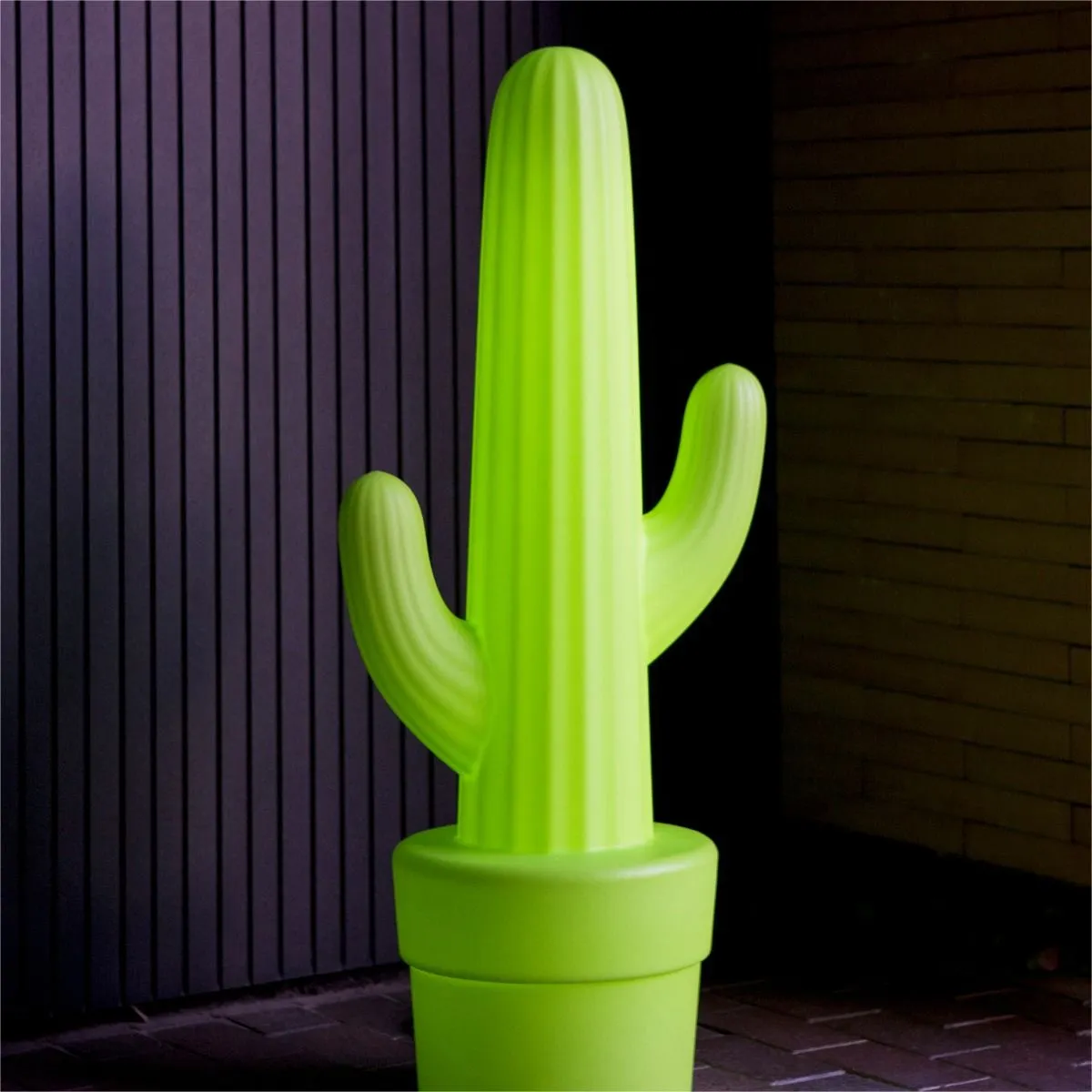 saguaro, neonowy, pojemnik, figurka, zielony