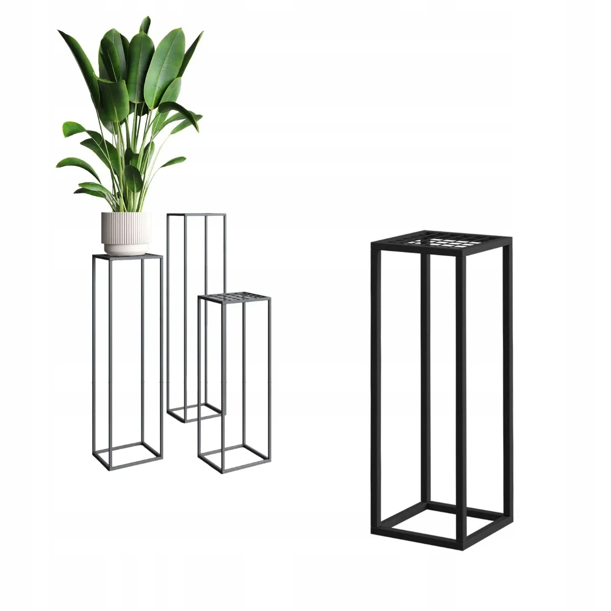 Słoik, Roślina, plantator, Roślina doniczkowa, Wazon