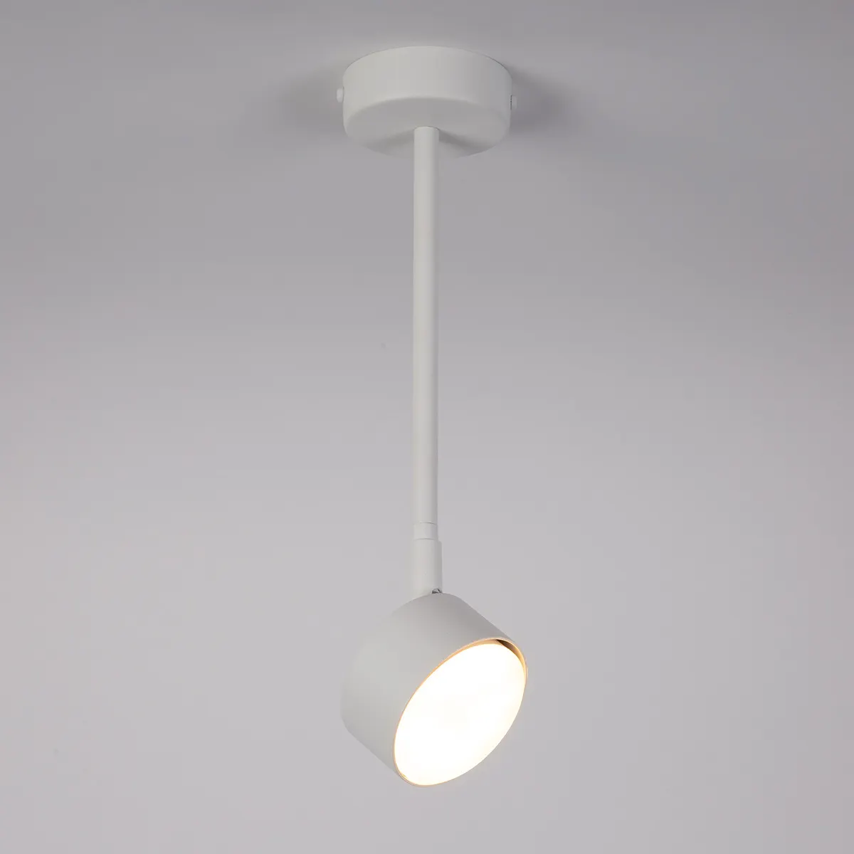 Lampa sufitowa/plafon NEMO 1 L biały - SI_40980