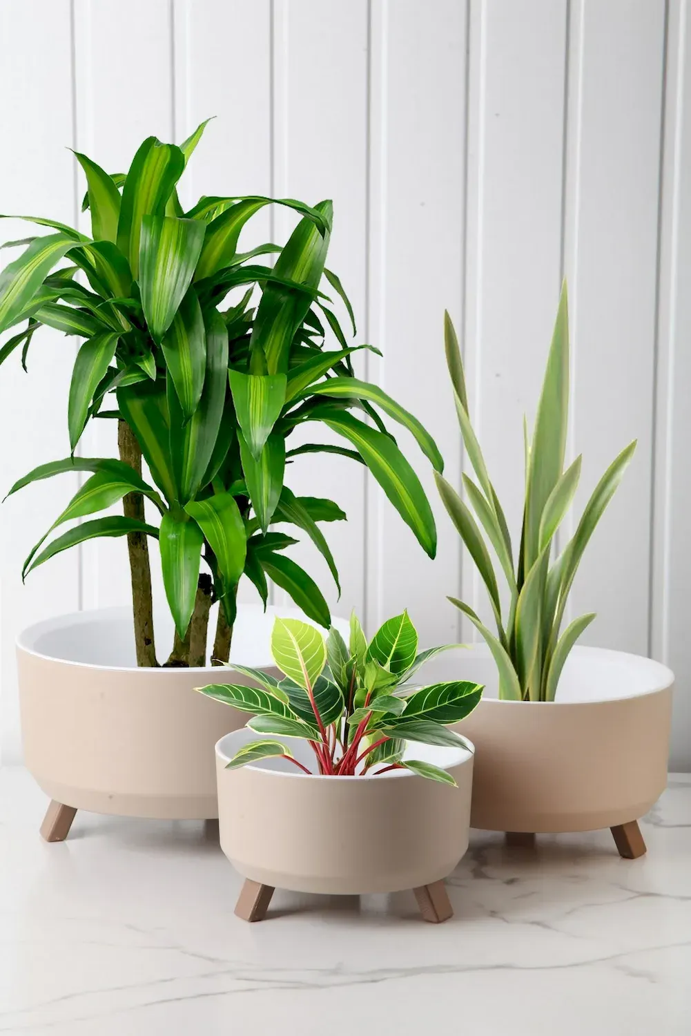 Osłonki na doniczki OKK1109 zestaw 3 sztuk kremowy