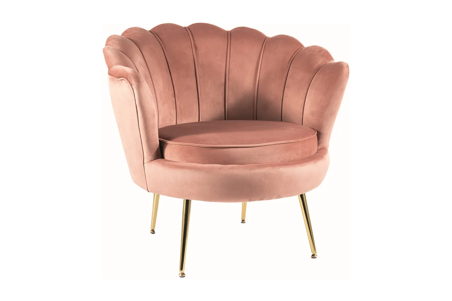 FOTEL CAMELLIA 1 VELVET ANT. RÓŻ BLUVEL 52/ZŁOTY SIGNAL FOTEL CAMELLIA 1 VELVET ANT. RÓŻ BLUVEL 52/ZŁOTY SIGNAL