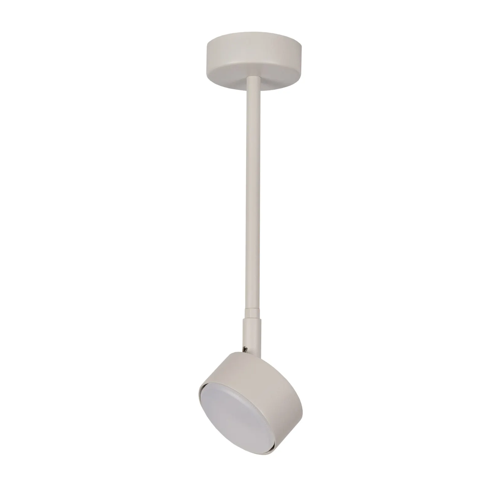 Lampa sufitowa/plafon NEMO 1 L szaro-beżowy