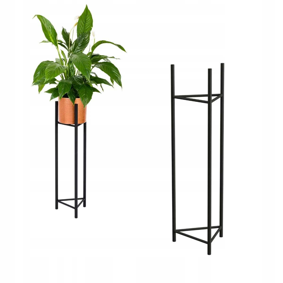 Roślina, Roślina doniczkowa, Słoik, plantator, Ceramika