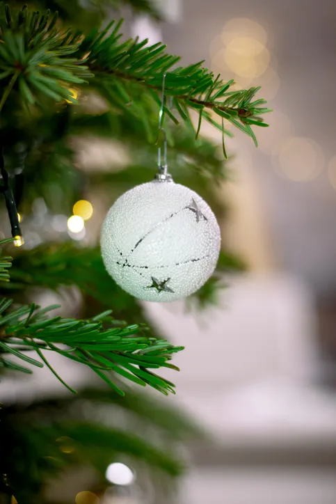 Drzewo, Kula, Jodła, Akcesoria, Piłka tenisowa