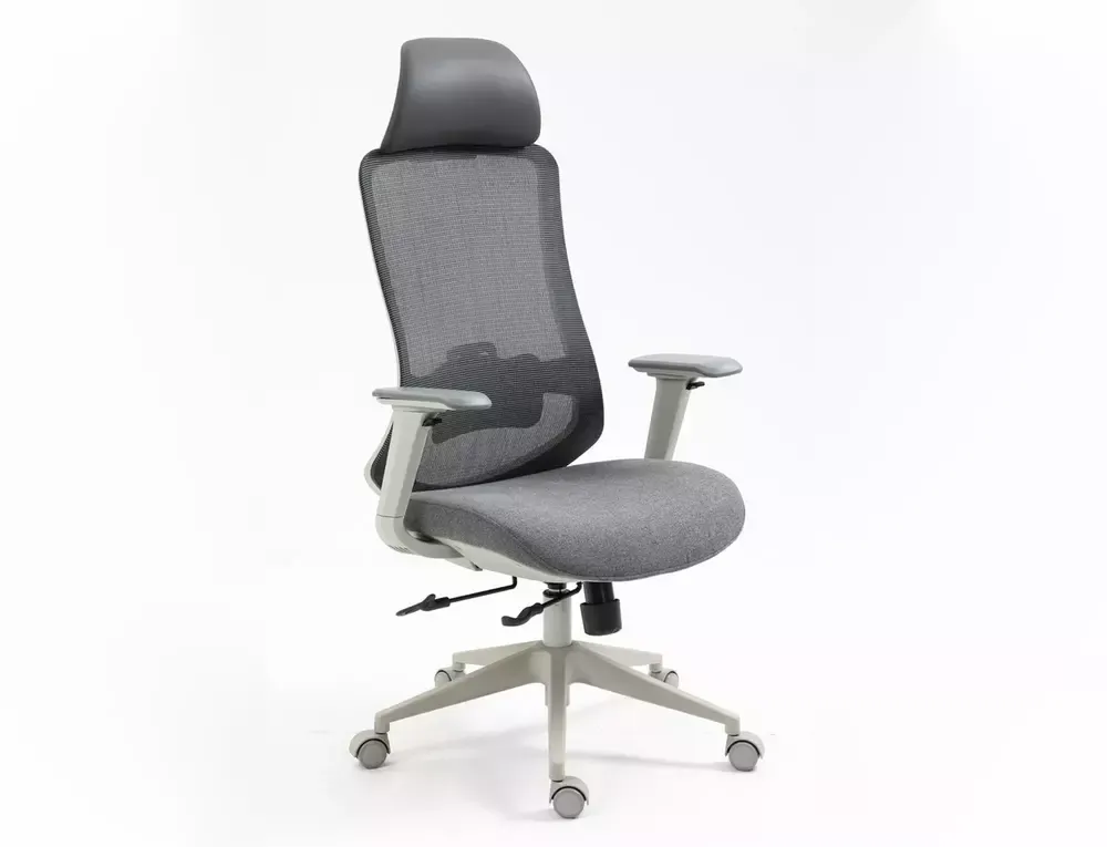 Fotel obrotowy, ergonomiczny ERGON szary Signal