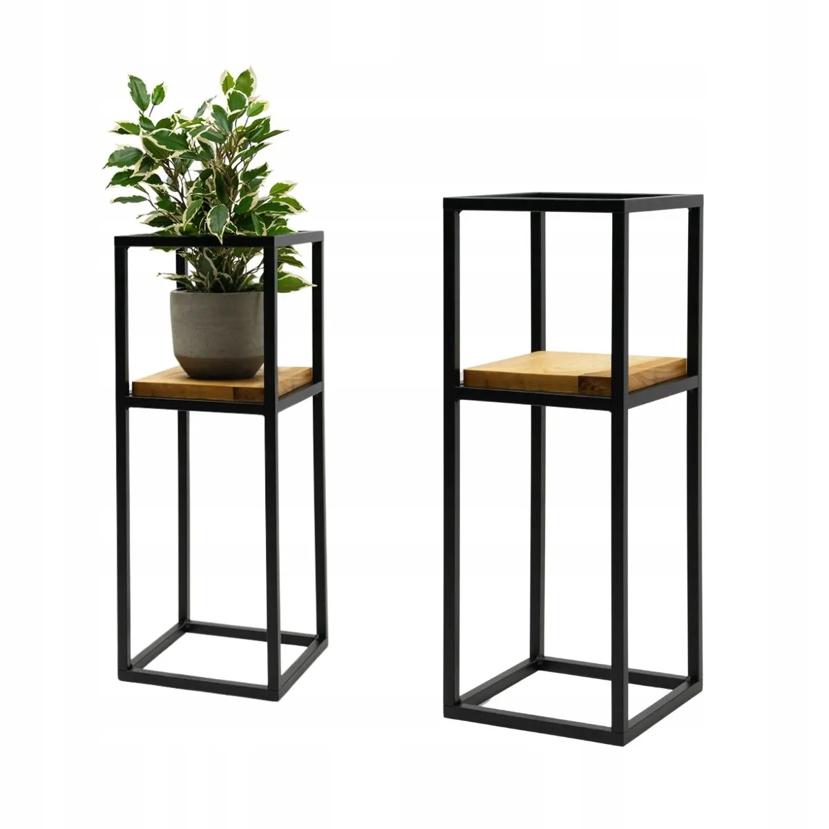 Roślina, Roślina doniczkowa, Słoik, plantator, Wazon