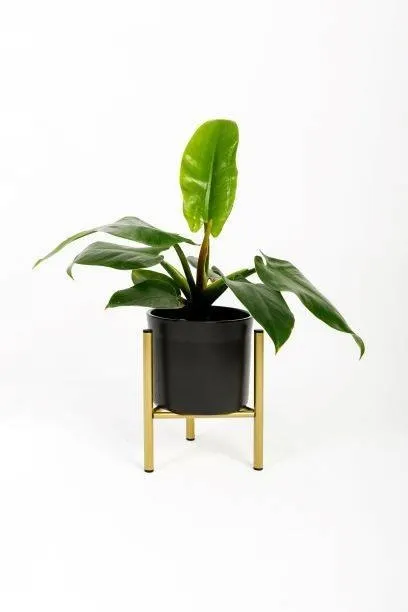 Kwietnik-stojak na donice metalowy DIJON S złoty - LD_TZ000004