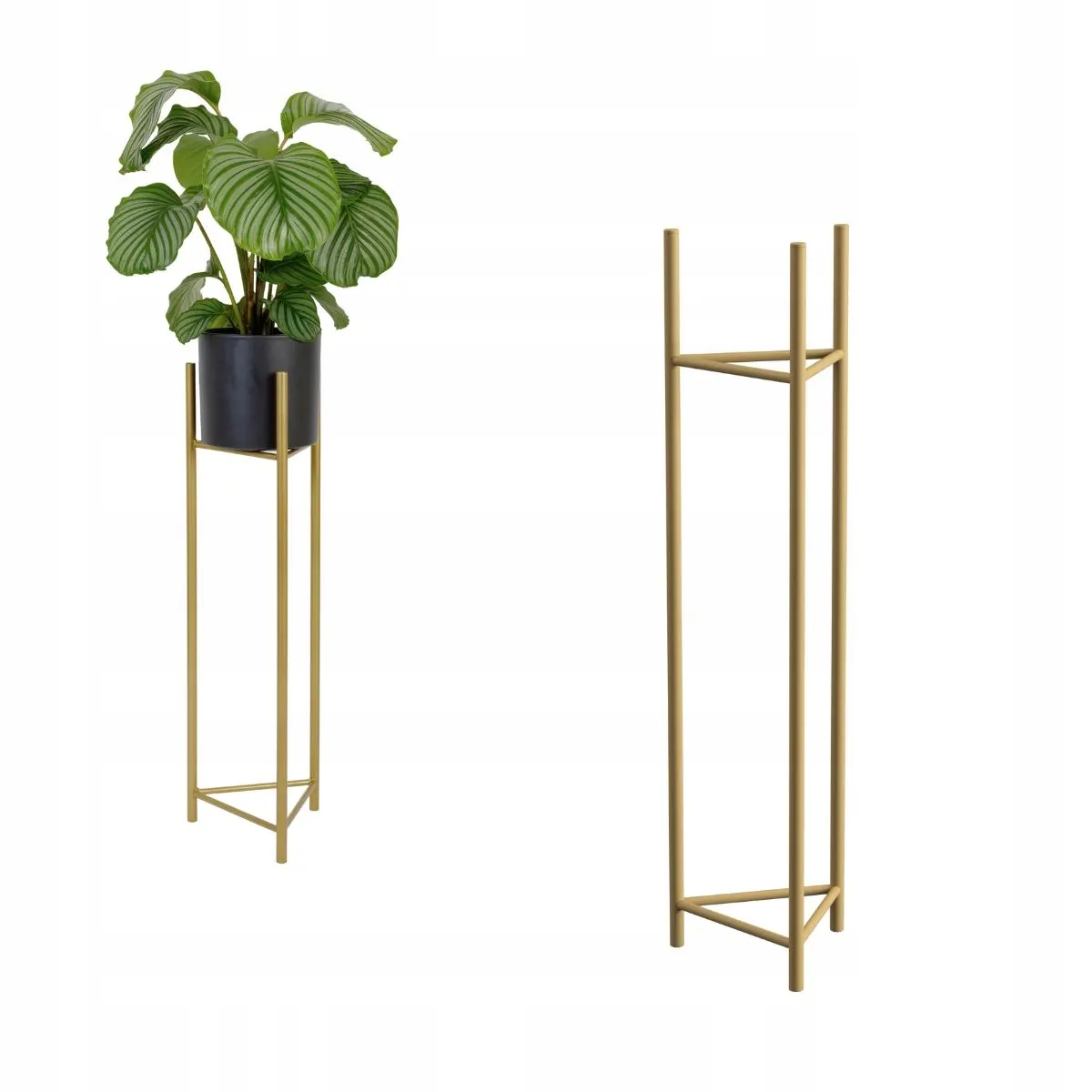 Roślina, Roślina doniczkowa, plantator, Ceramika, Wazon