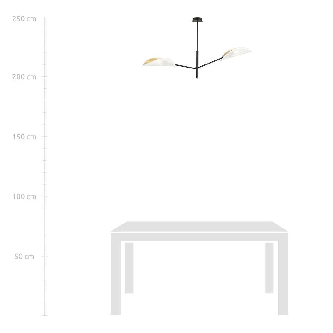 Lampa sufitowa VENE Czarny 1159/2 - 1159/2