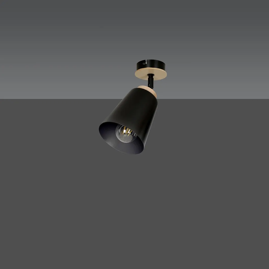 Lampa sufitowa ATLAS 1 czarny naturalny — zdjęcie 2