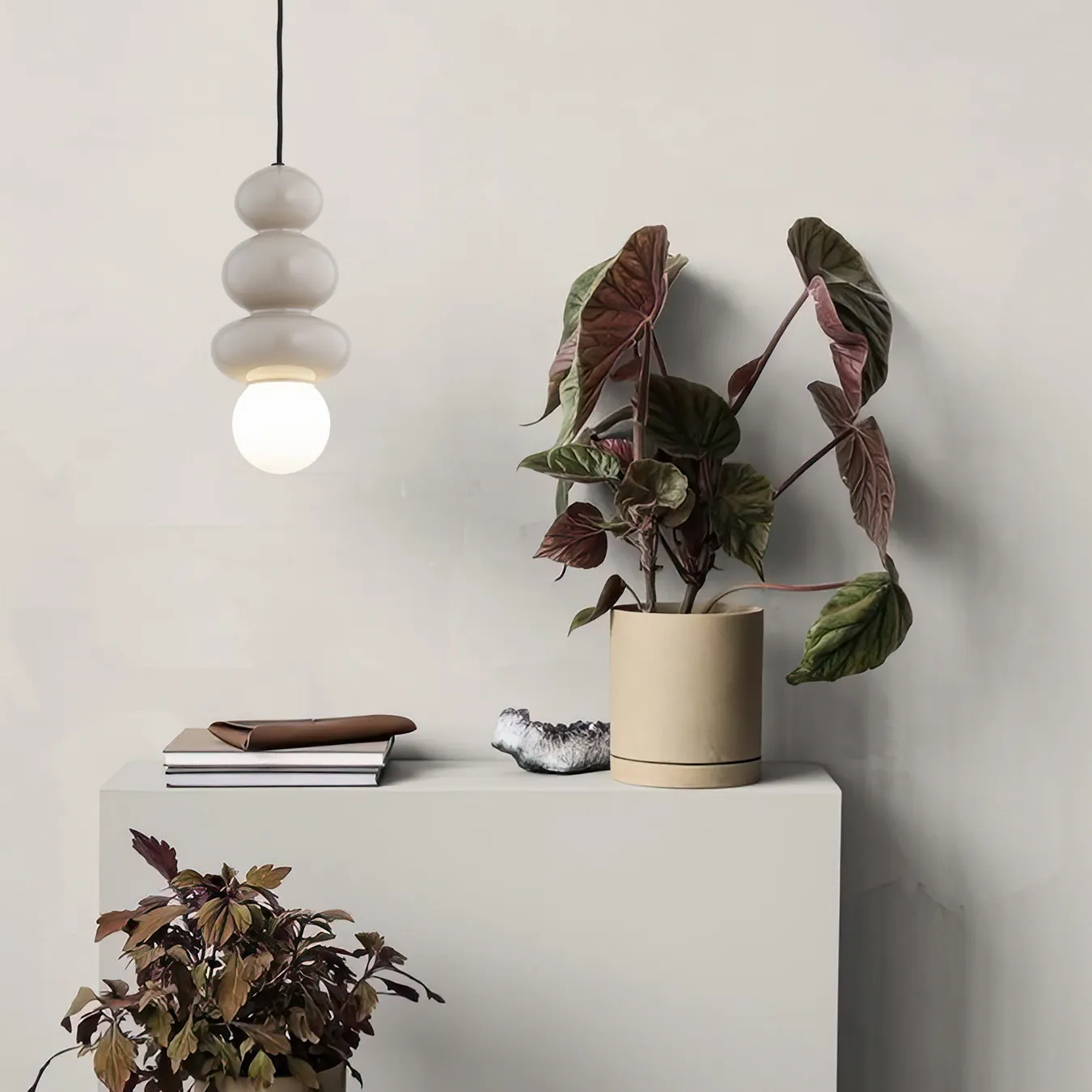 Roślina, Roślina doniczkowa, Kwiat, Kompozycja kwiatowa, Słoik