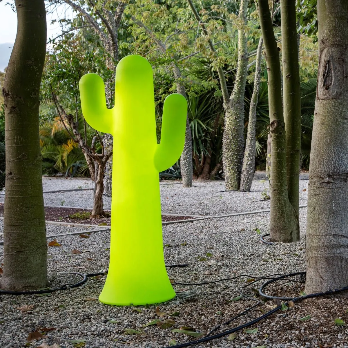 Roślina, Roślinność, Drzewo, Pień drzewa