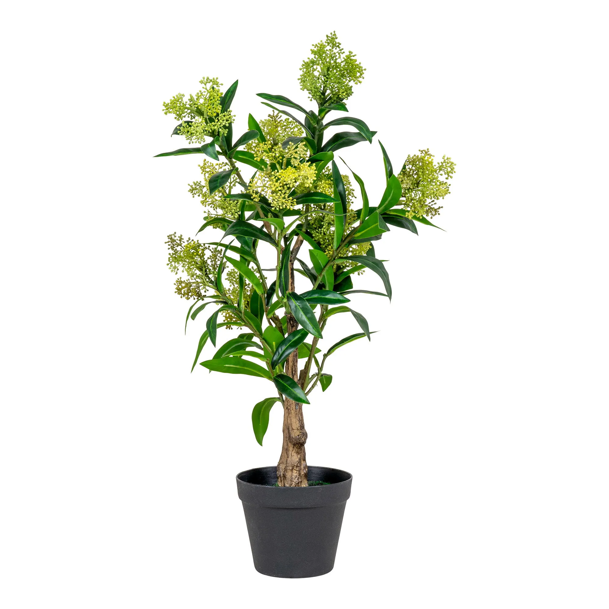 Sztuczna roślina SKIMMIA wys:75 cm zielona