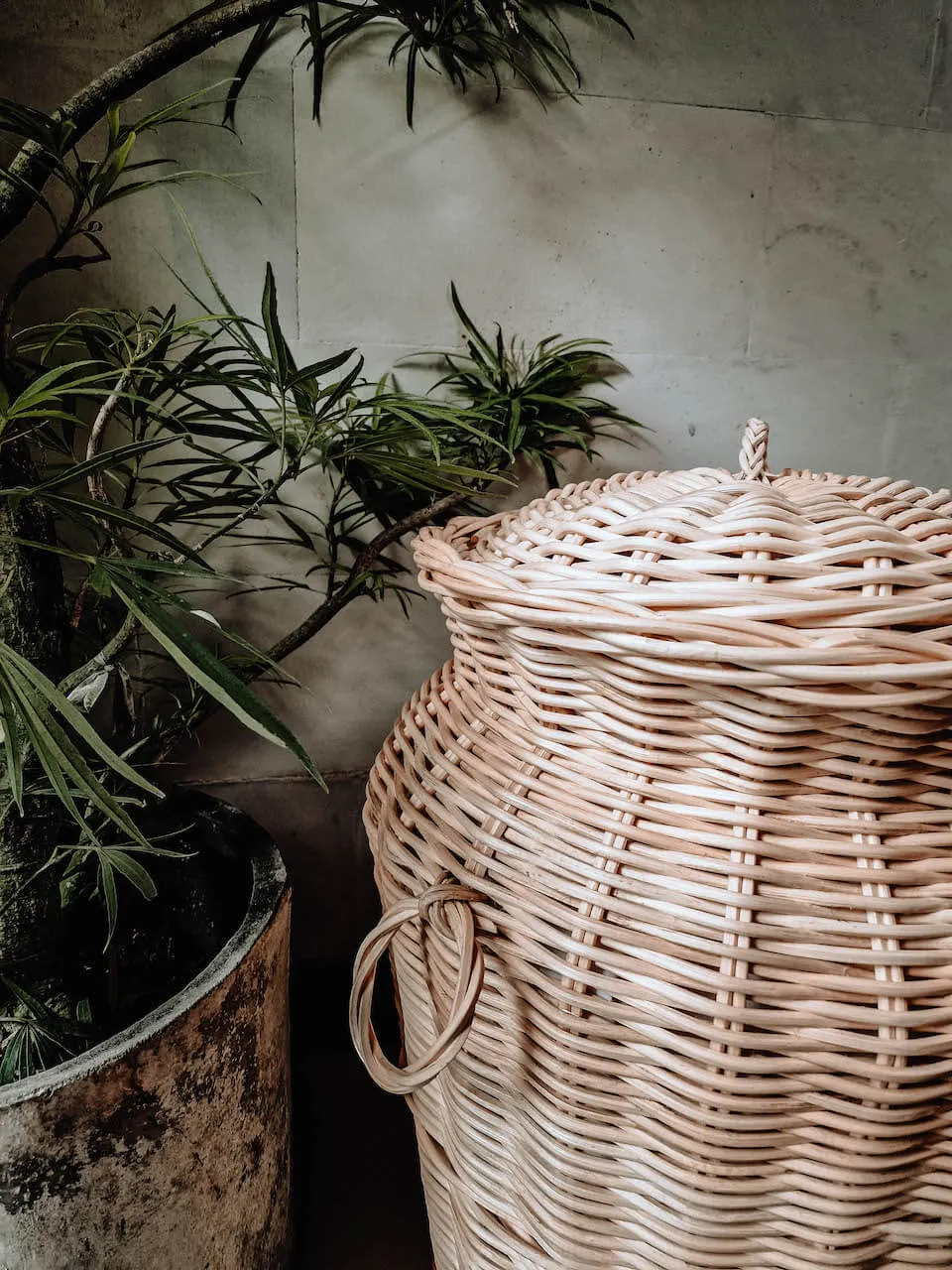 KOSZ ORIANA A - MNML002O