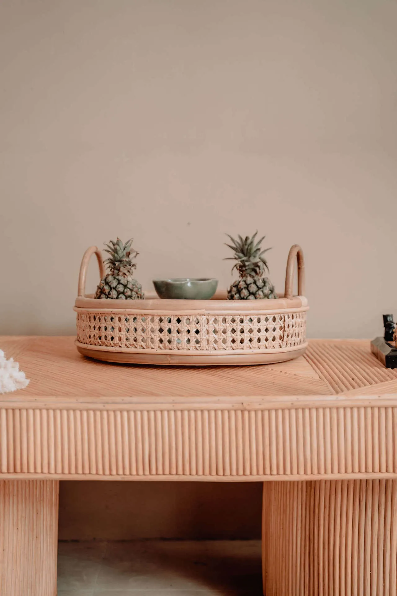 TACA PALOMA - MNR0001