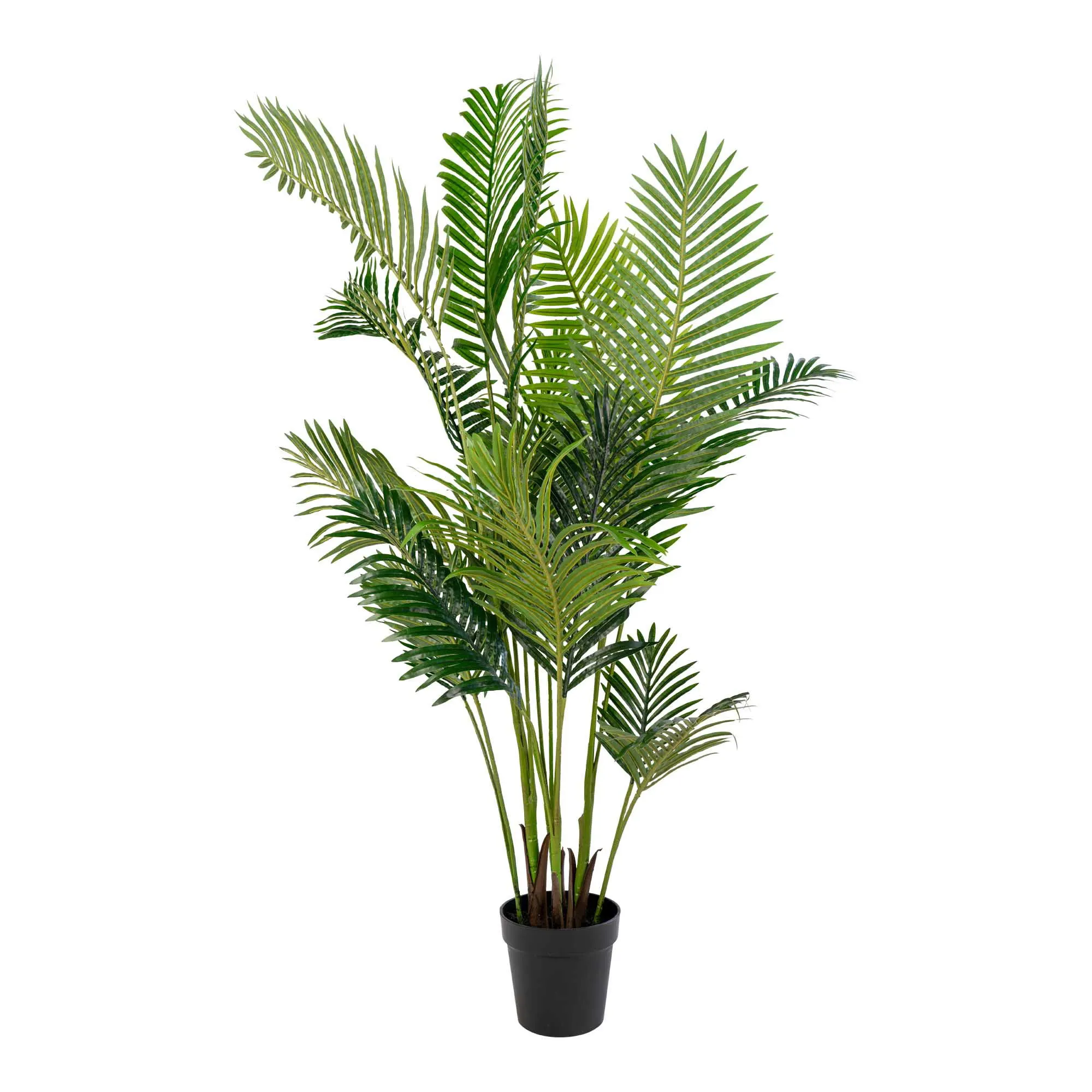 Sztuczna palma ARECA wys:175 cm zielona Drzewo palmowe, Roślina, Drzewo, Liść