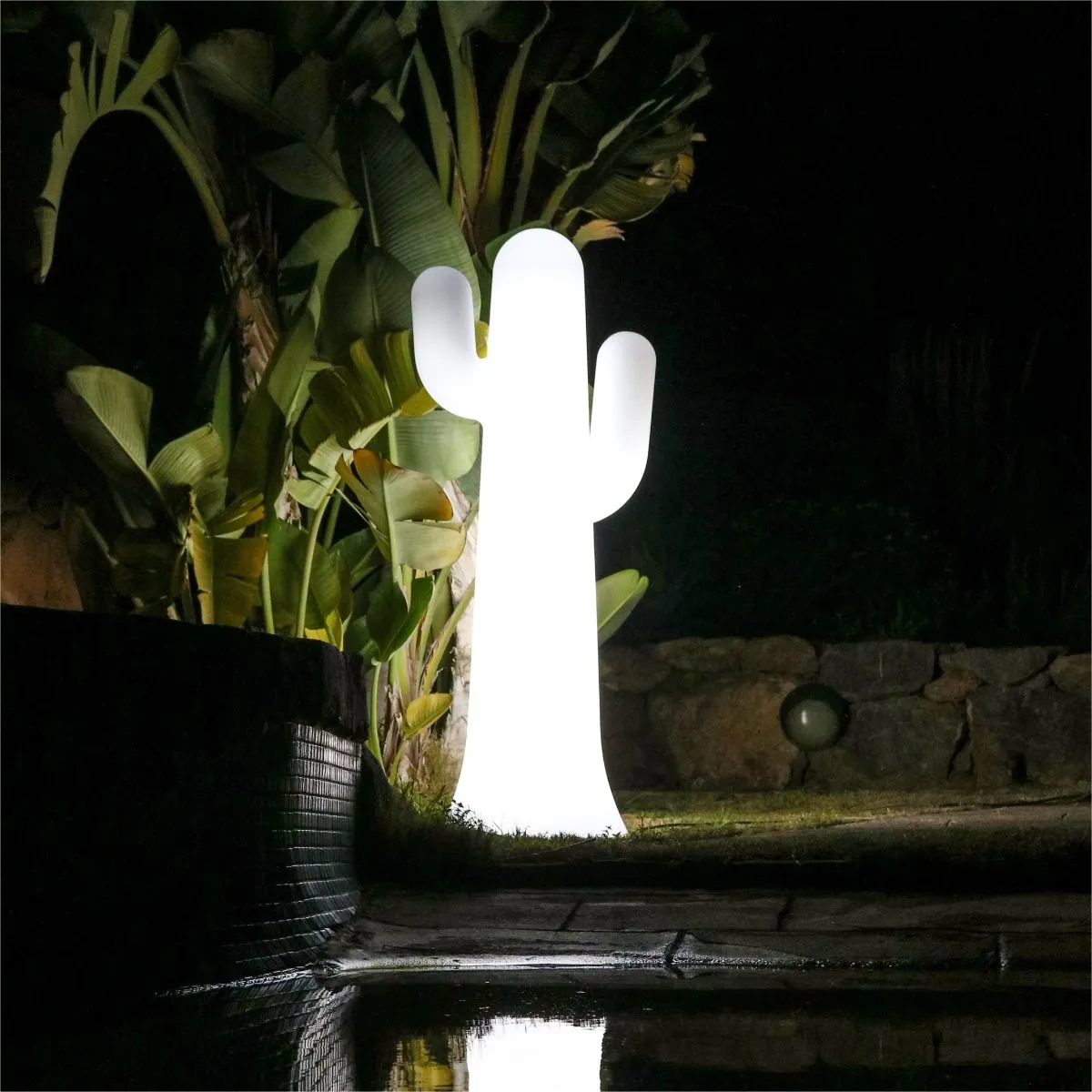 image Roślina doniczkowa, Słoik, plantator, Ceramika, Wazon