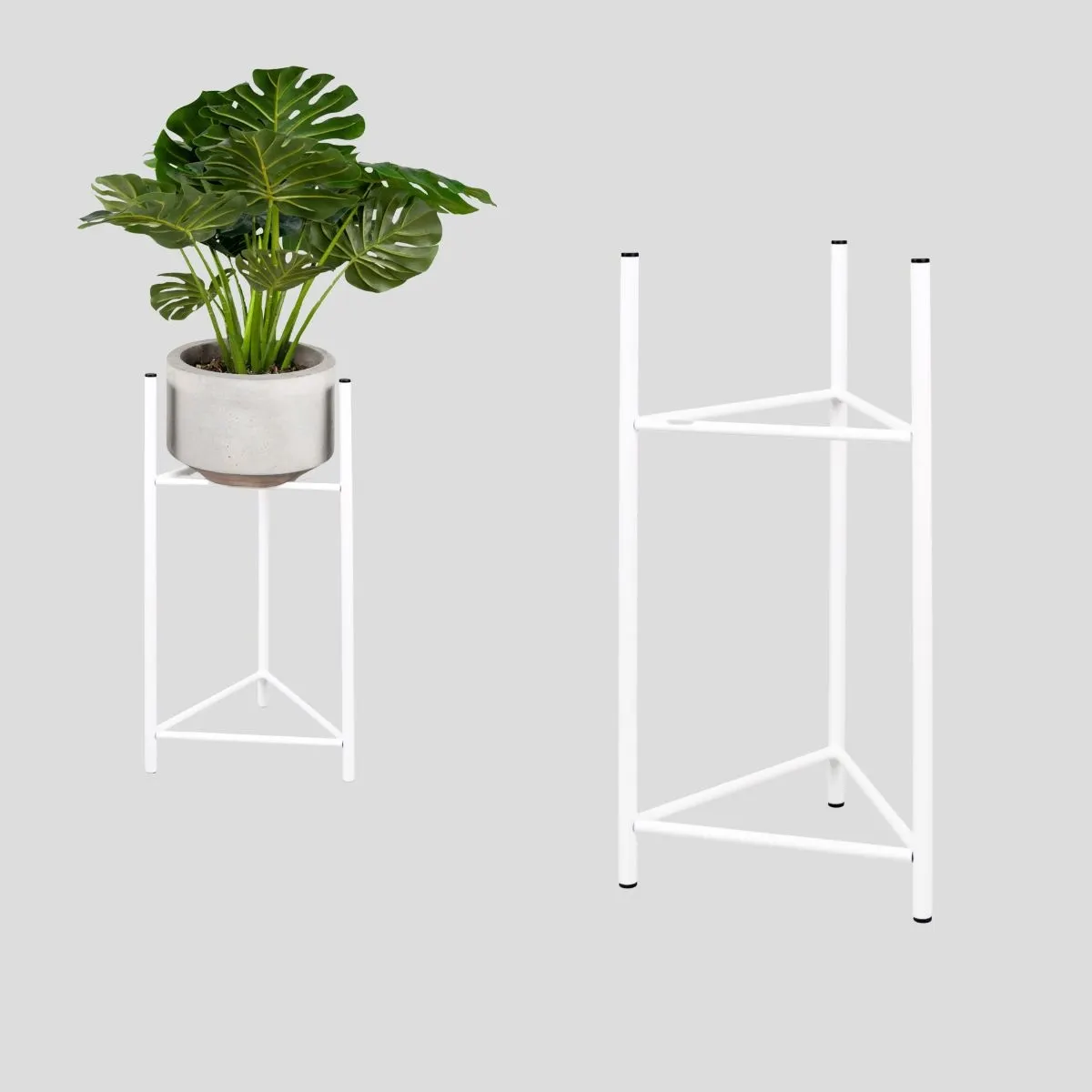 Roślina, plantator, Roślina doniczkowa, Ceramika, Wazon