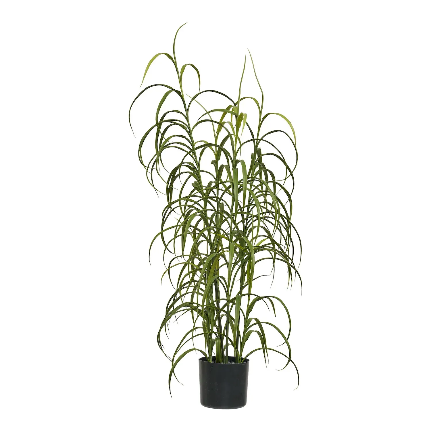 Sztuczna roślina trawiasta wysokość: 68 cm zielona