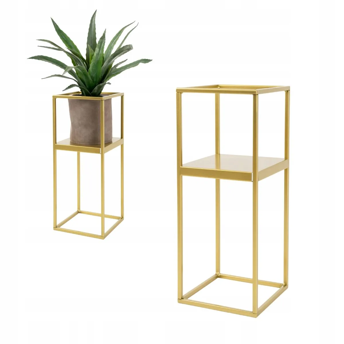 Słoik, Roślina, plantator, Roślina doniczkowa, Wazon