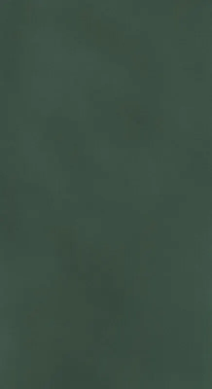 ZASŁONA GOTOWA ADARI 140 X 250 CM CIEMNOZIELONY - EU_457119