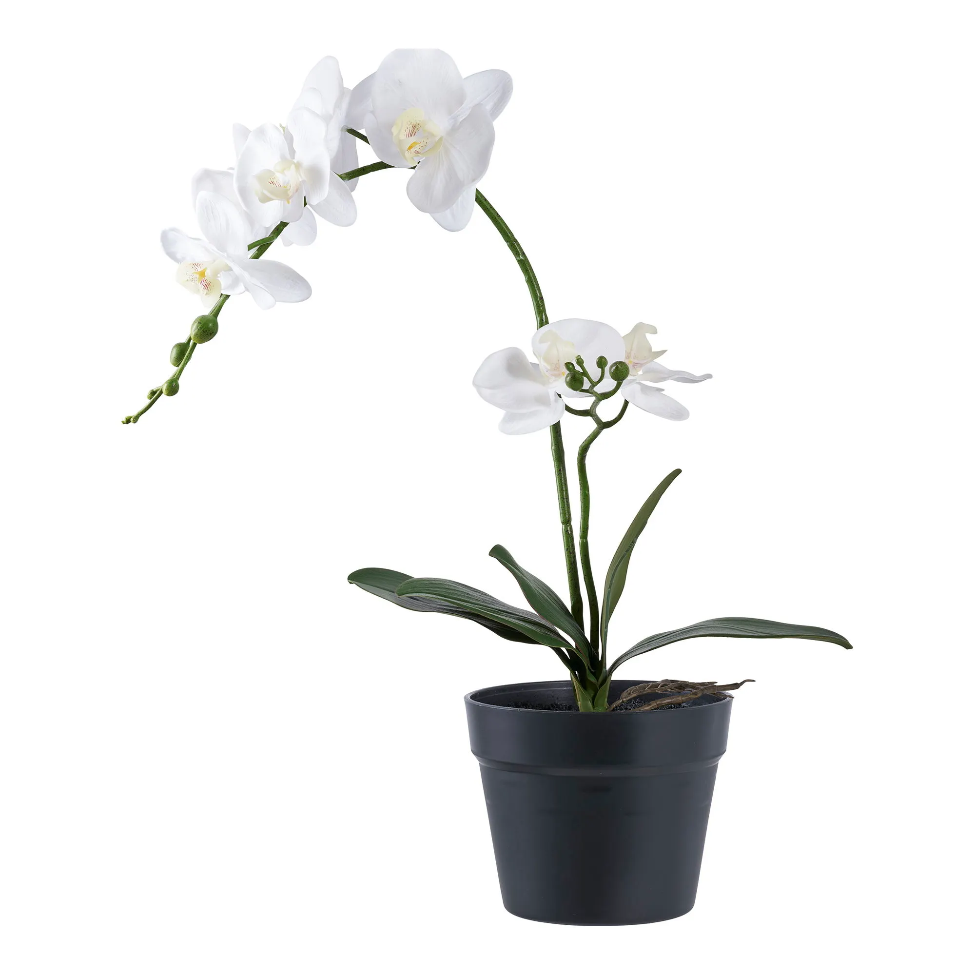 Sztuczna roślina ORCHID wys:49 cm biała