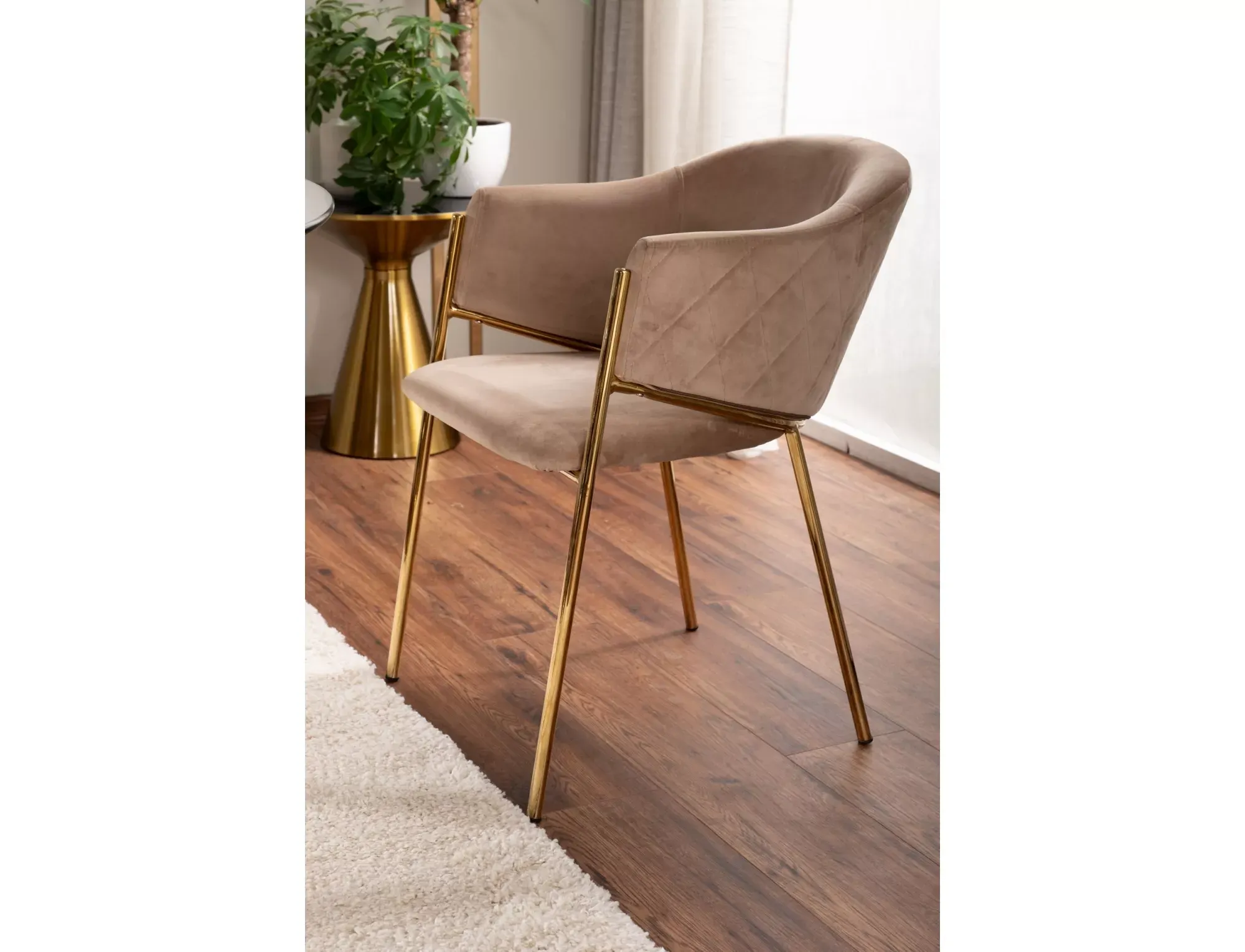 Krzesło z podłokietnikami BONO VELVET Bluvel 28 beżowe złoty stelaż - BONOVZLBE