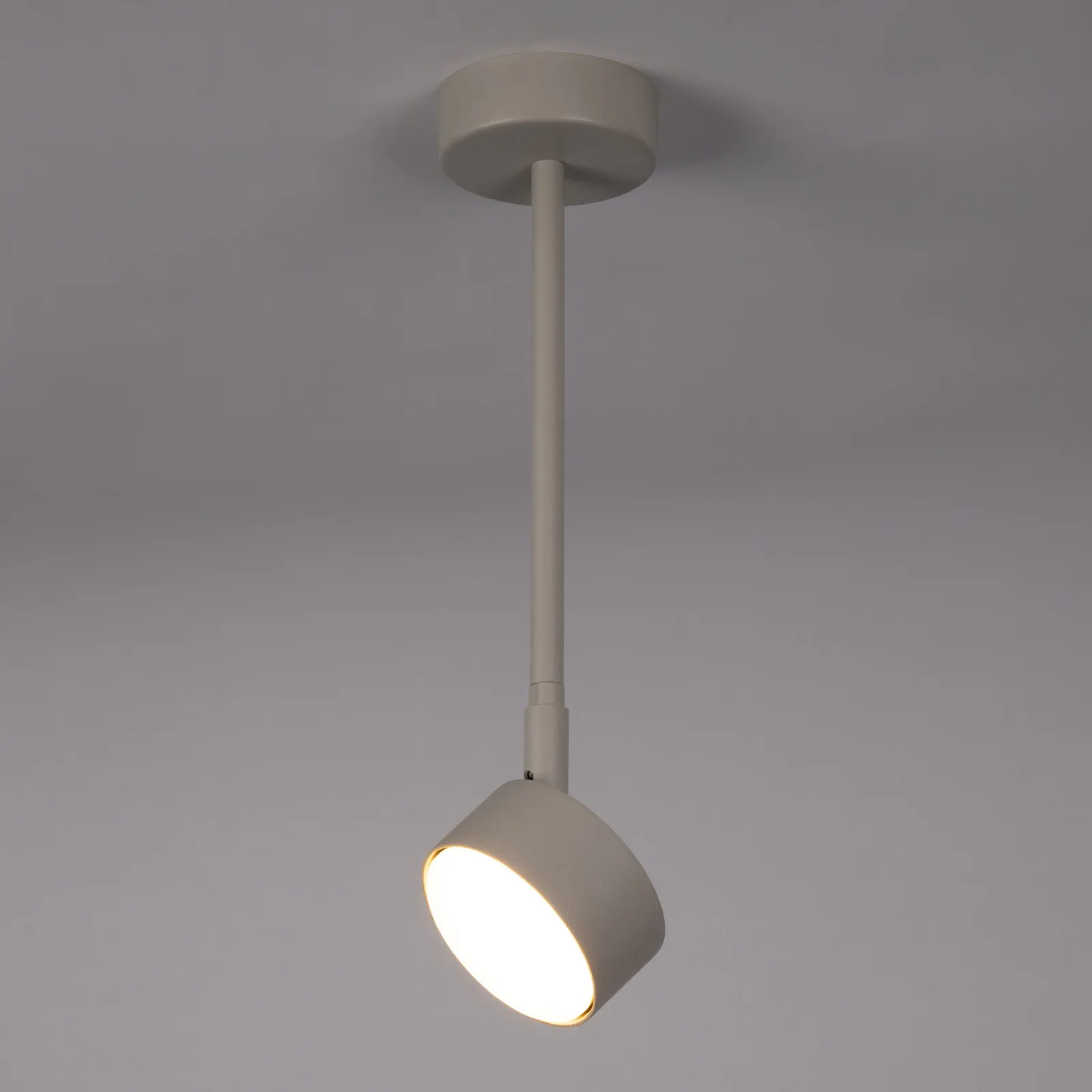 Lampa sufitowa/plafon NEMO 1 L szaro-beżowy - SI_40888