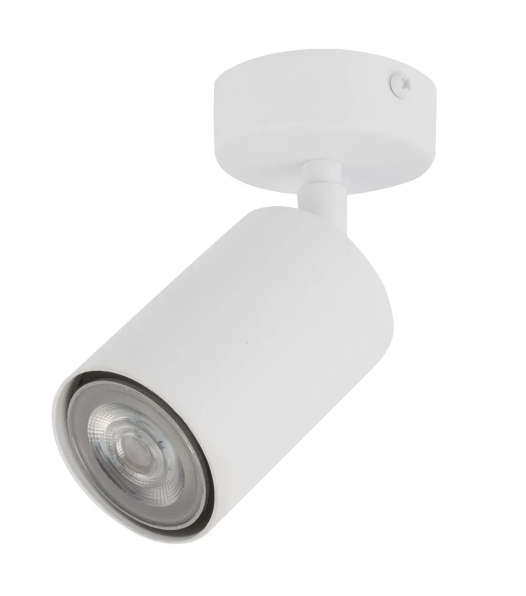 Plafon ZOOM 1 biały