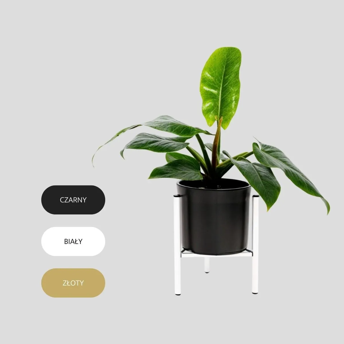 Kwietnik-stojak na donice metalowy DIJON M biały - LD_TZ000100