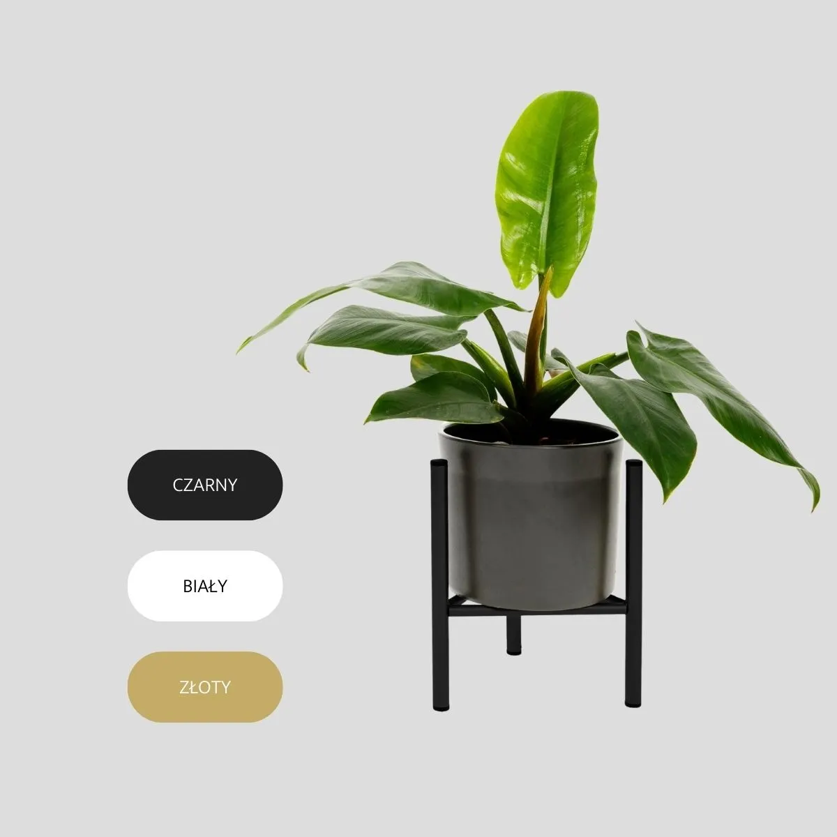 Kwietnik-stojak na donice metalowy DIJON S czarny - LD_TZ000003