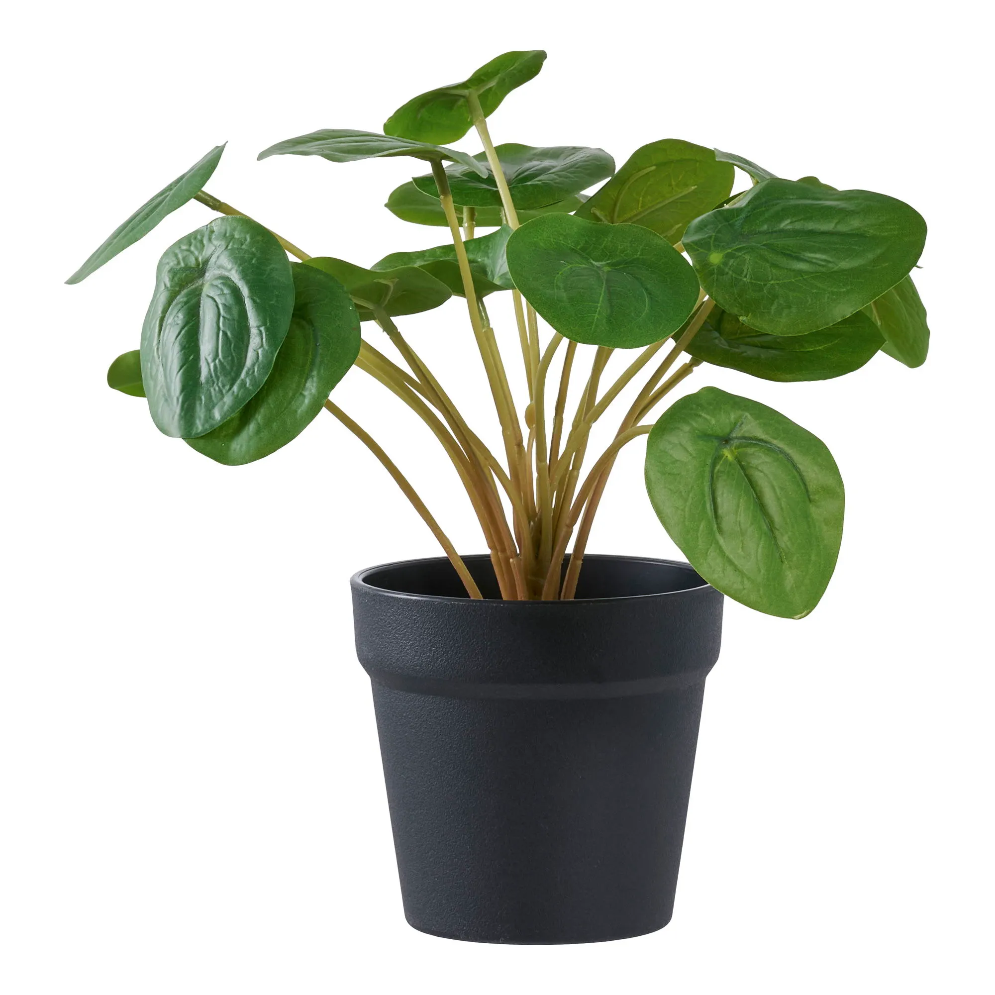 Sztuczna roślina PELIA wys:28 cm zielona