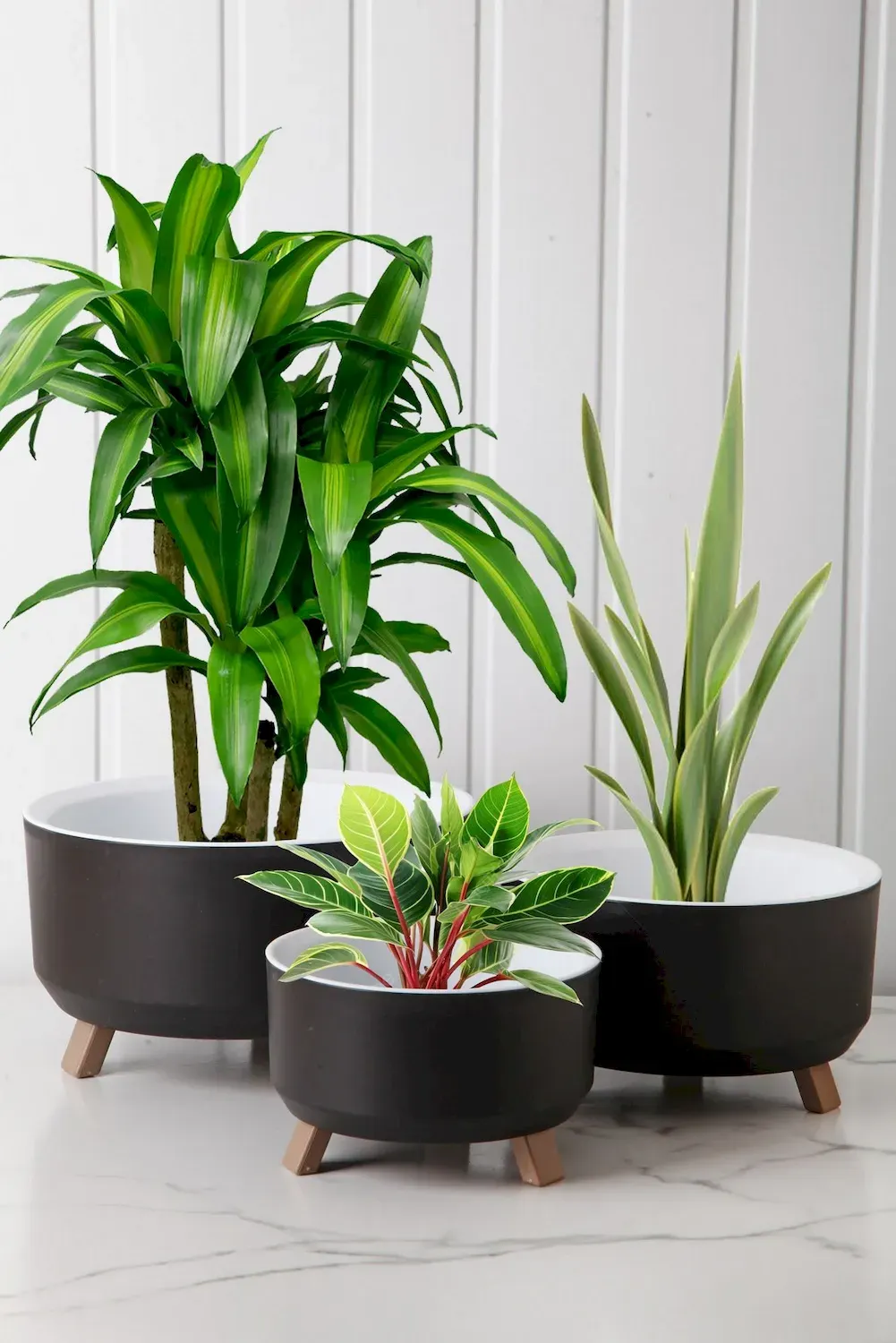 Osłonki na doniczki OKK1108 zestaw 3 sztuk czarny