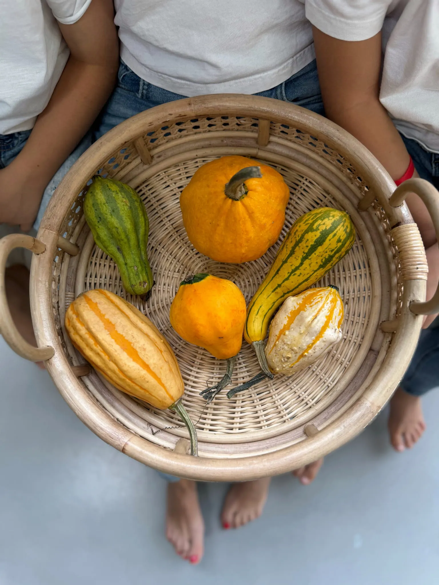 TACA PALOMA - MNR0001