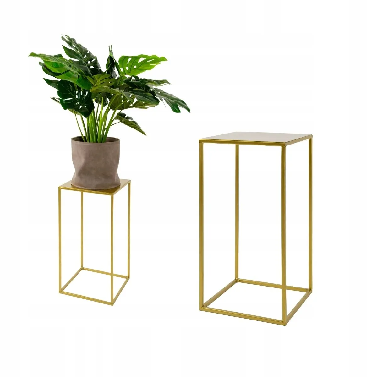 Słoik, Roślina, plantator, Roślina doniczkowa, Wazon