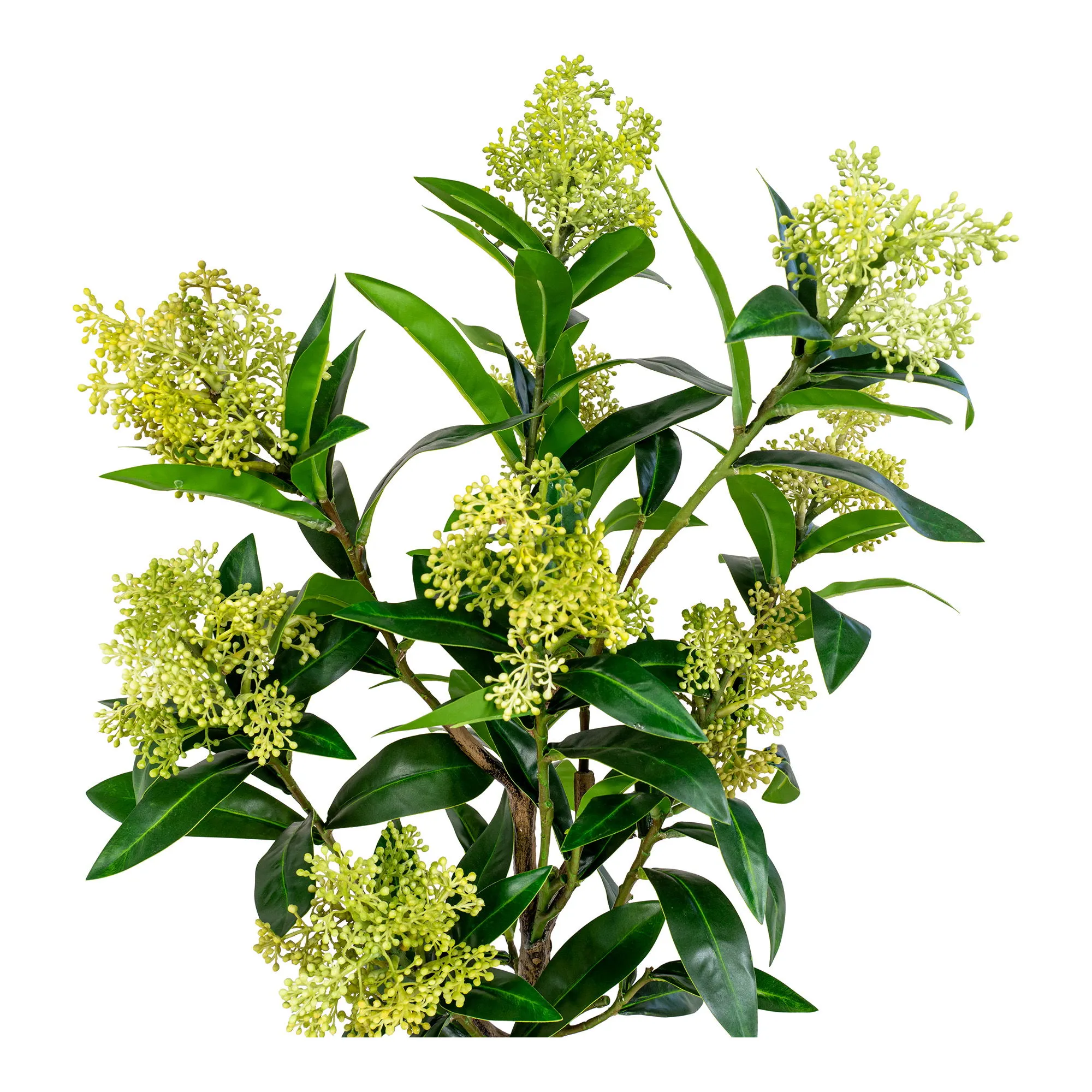 Sztuczna roślina SKIMMIA wys:75 cm zielona - 9501120