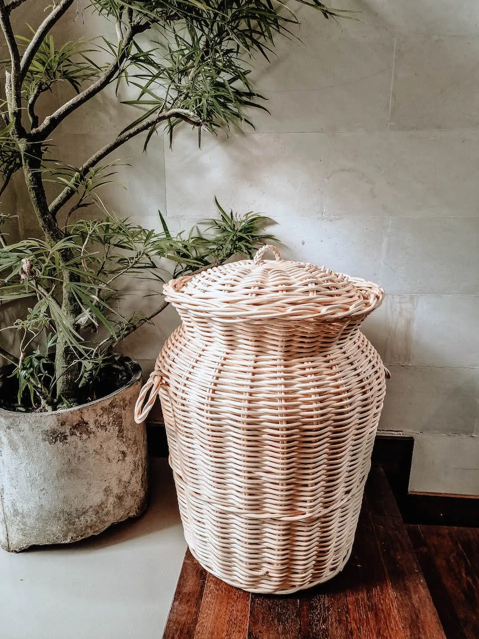 KOSZ ORIANA A Sztuka, Rękodzieło, Roślina