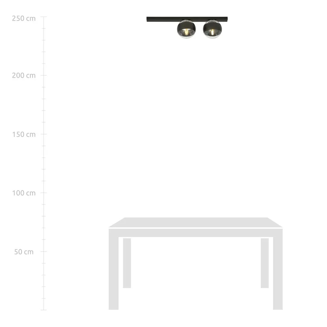 Lampa sufitowa FIT Czarny 1123/2 - 1123/2