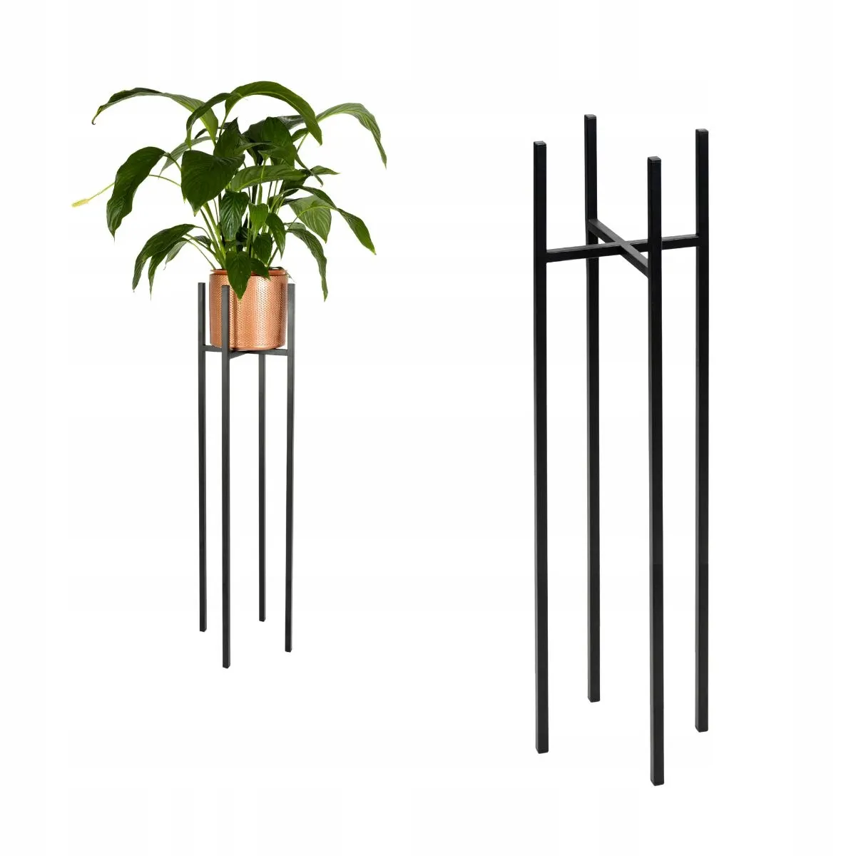 Roślina, Roślina doniczkowa, plantator, Ceramika, Wazon