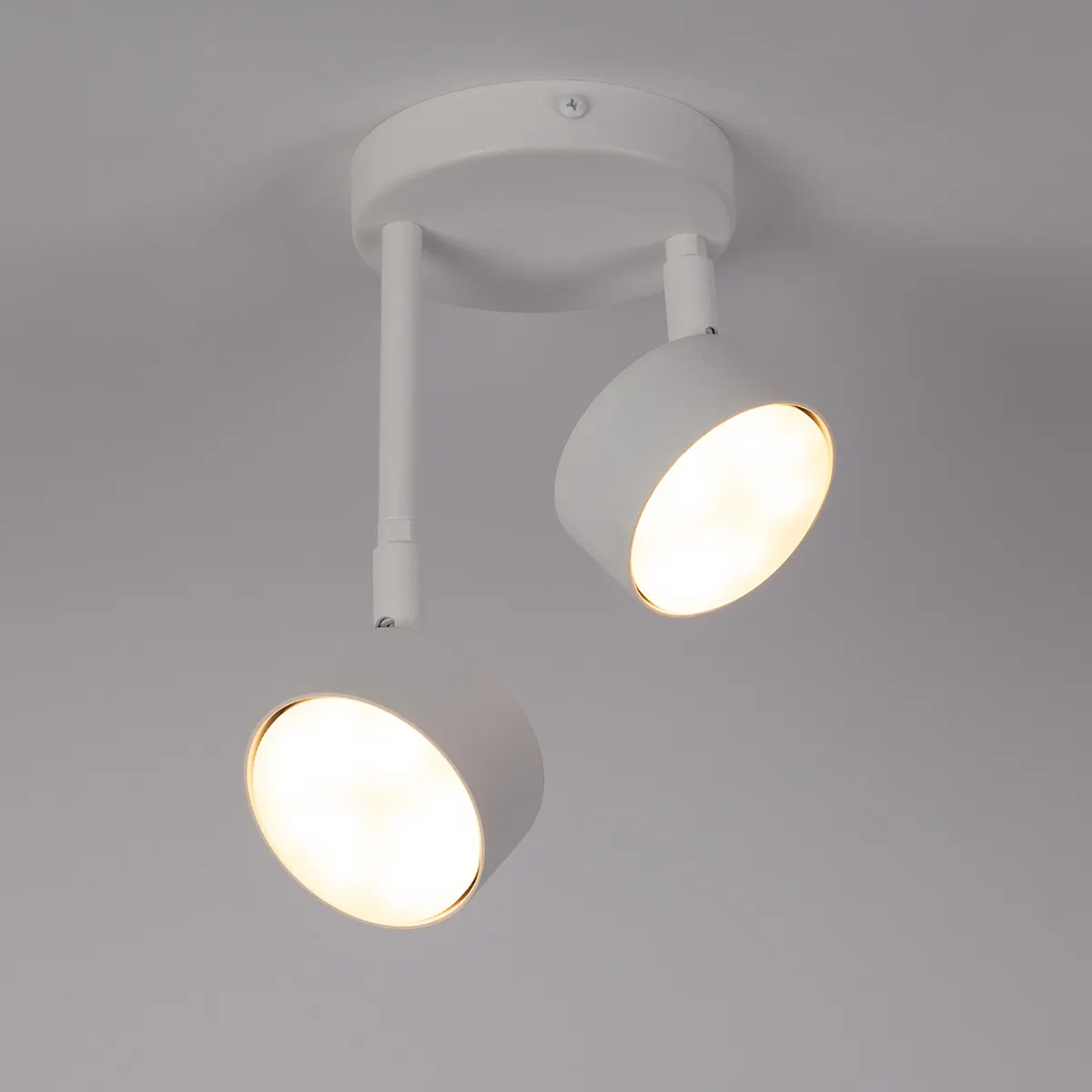 Lampa sufitowa/plafon NEMO 2 biały - SI_40981