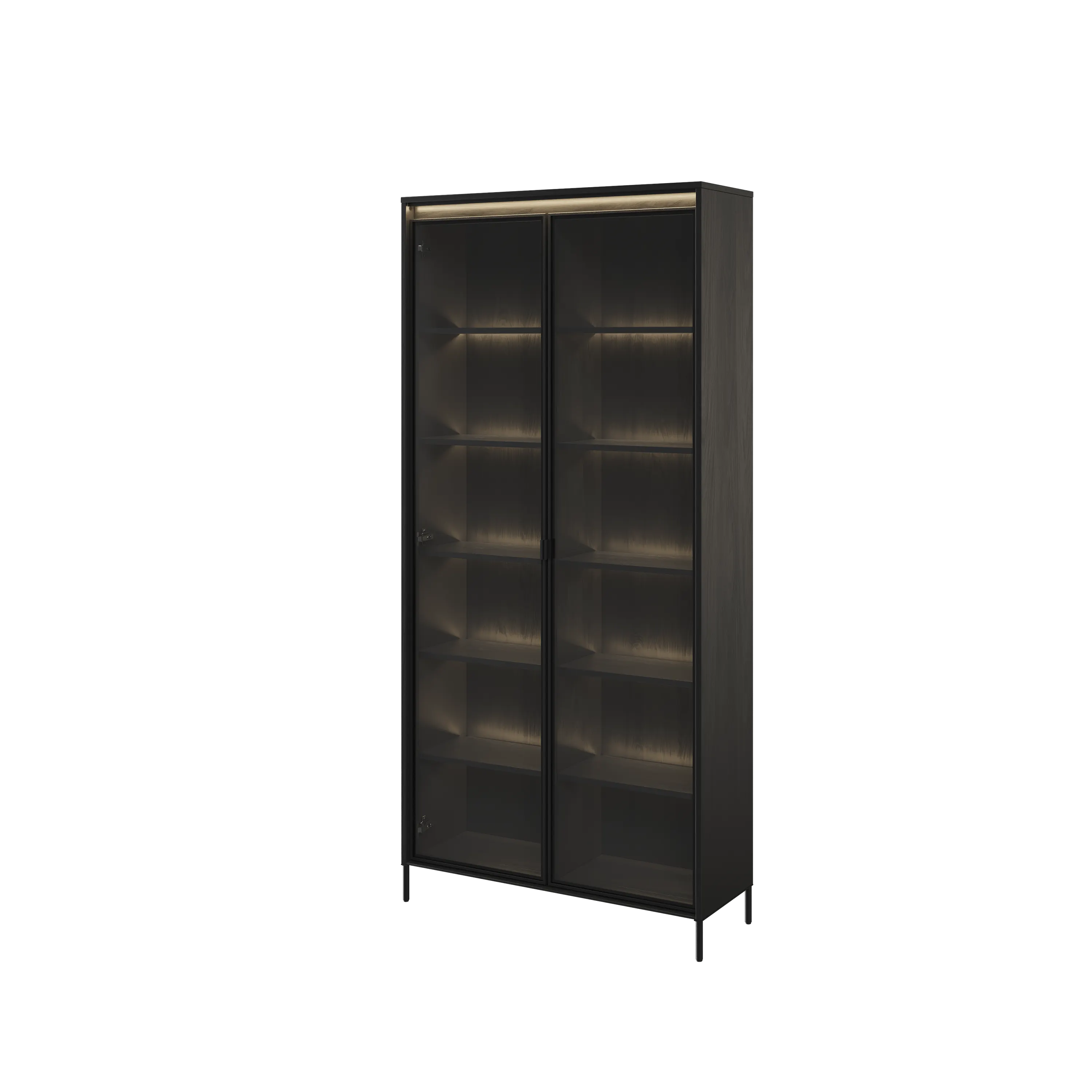 Witryna z oświetleniem TREND TR-07 2D czarna - TR7C-V2