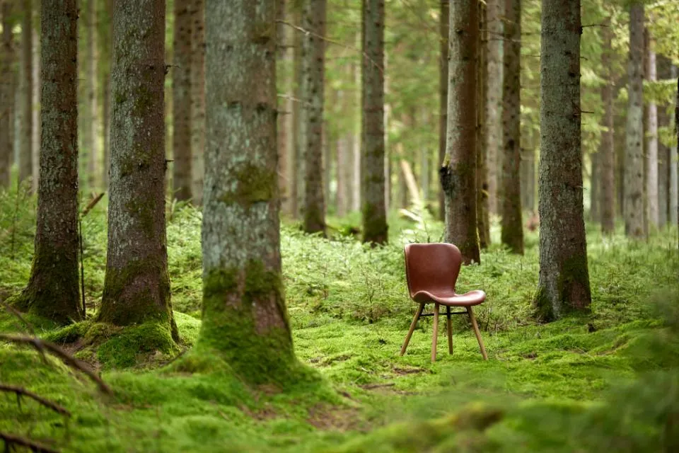 Krzesło tapicerowane DOREN ekoskóra-brązowy (zamek błyskawiczny) Dab olejowany ( zestaw 2 sztuk ) - H000018217