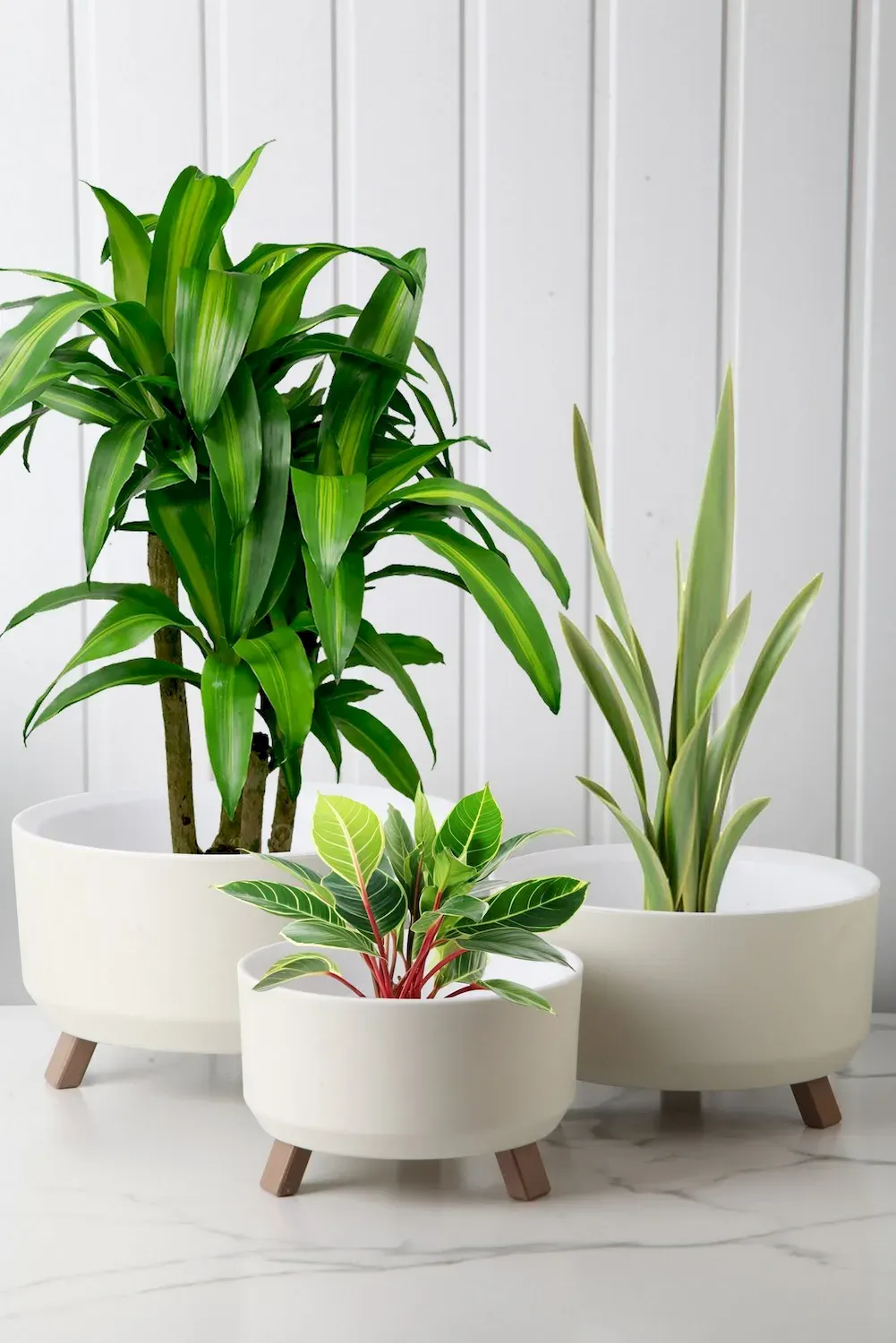 Osłonki na doniczki OKK1110 zestaw 3 sztuk biały