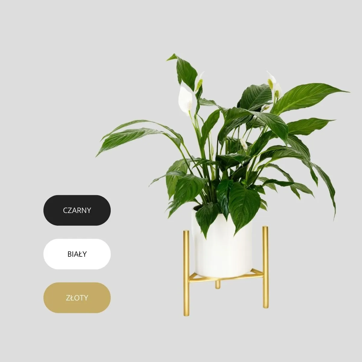 Kwietnik-stojak na donice metalowy DIJON L złoty - LD_TZ000057