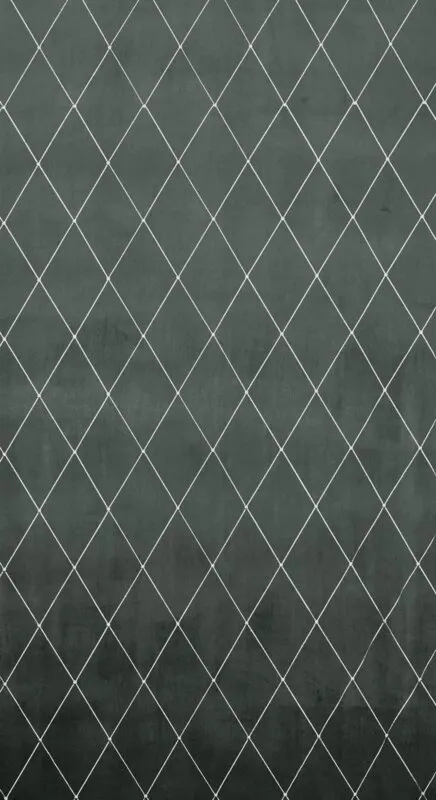 ZASŁONA DEKORACYJNA PIERRE CARDIN MARGO 140X250 CM JASNOSZARY - EU_389717