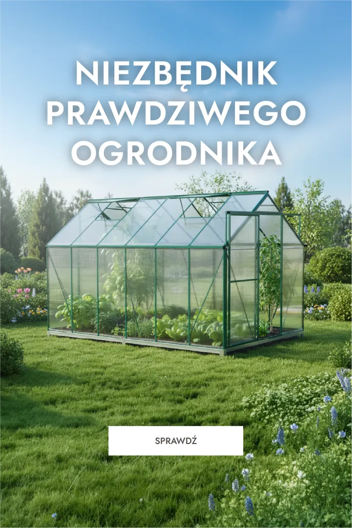 szklarnia, ogródek, szklany tunel, transparentna konstrukcja, zielony