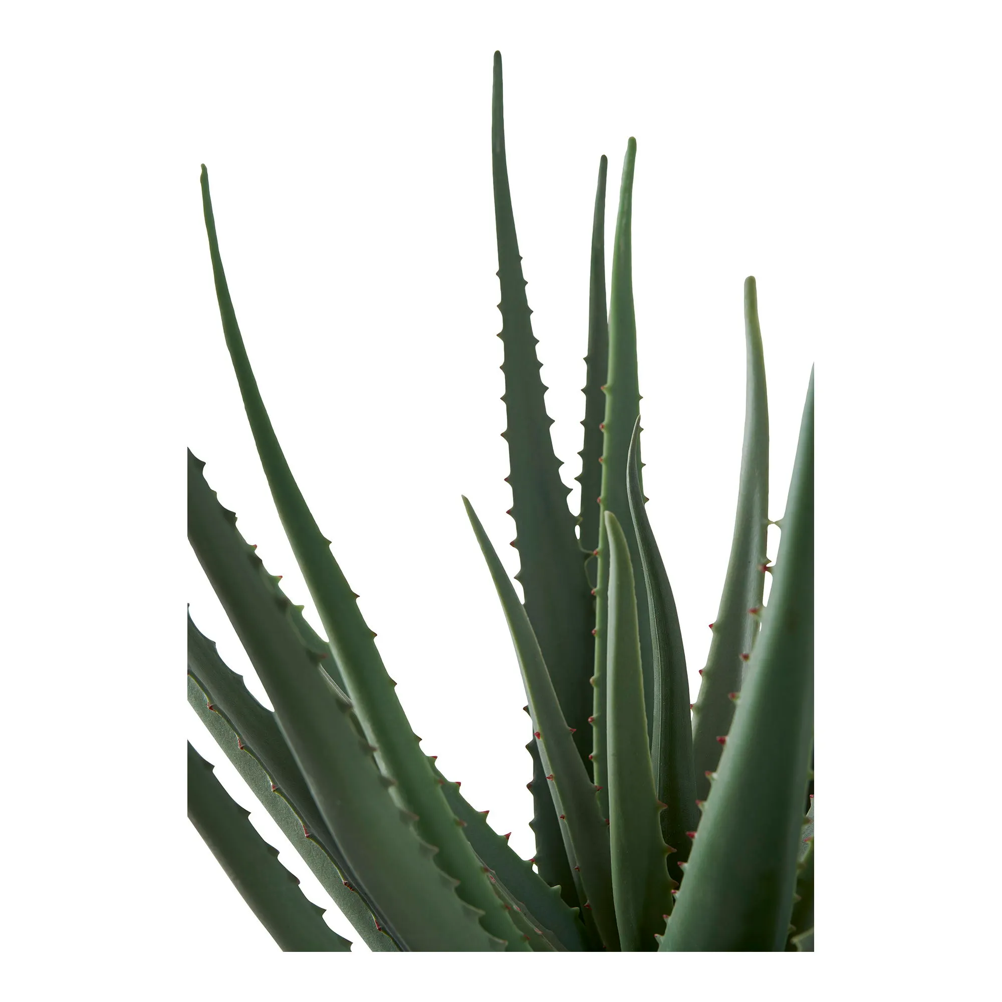 Sztuczna roślina ALOE wys:51 cm zielona - 9501001